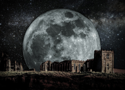 ピクチャ 5.png